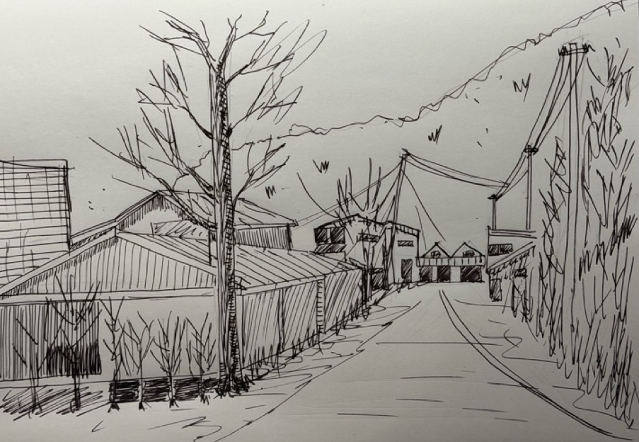 Learning Sense of Space with Lines: Vanishing Points, Perspective, and Hatching All at Once