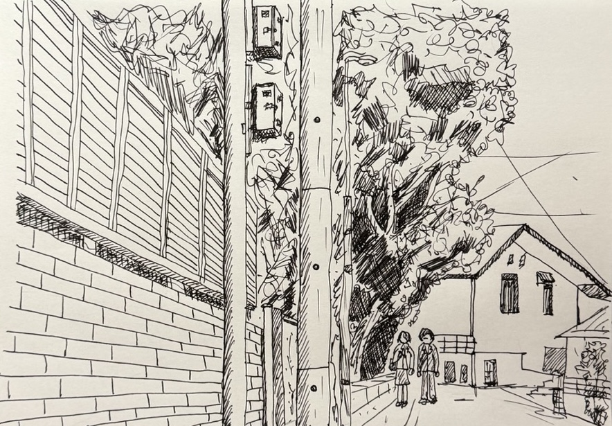 골목길의 일상 기록 — 정돈된 담장과 전신주, 그리고 나무가 있는 풍경